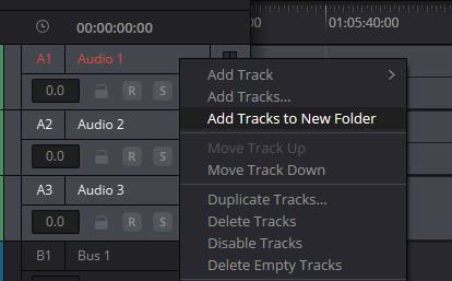 Add Tracks to New Folder — контекстное меню Resolve 21