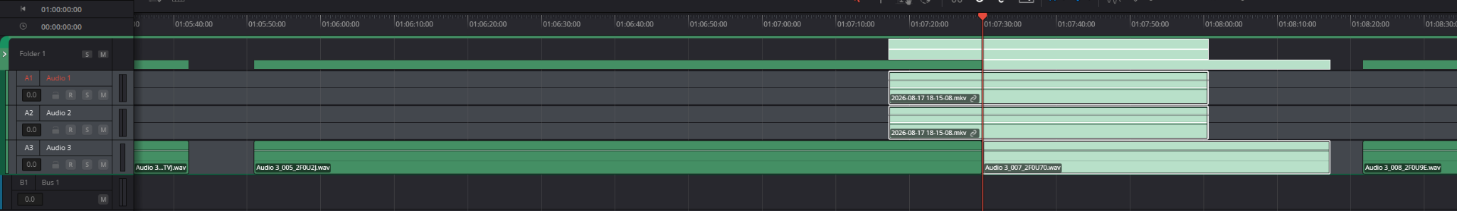 Folder Track открыт — живой Resolve 21