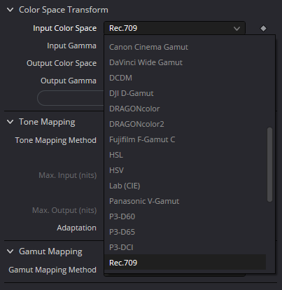 Оригинальный Input Color Space: меню с Rec.709, DWG и другими пространствами.
