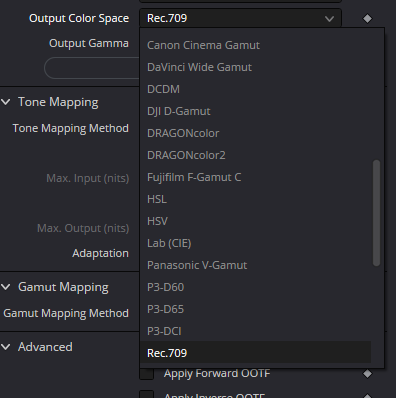 Оригинальный Output Color Space: список пространств и Rec.709.