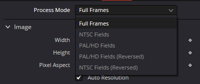 DaySky: Process Mode — Full Frames и field modes
