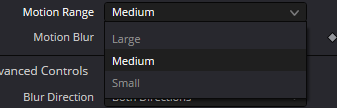MotionBlur Motion Range в Resolve 21: Large, Medium и Small — варианты одного dropdown