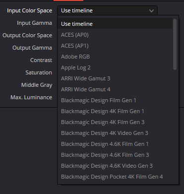 NVIDIA RTX Video HDR — Input Color Space menu excerpt